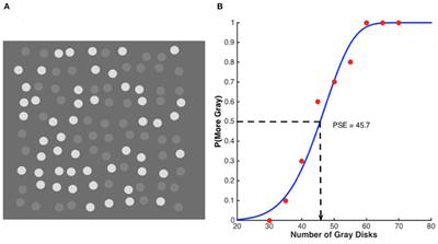 Untypical Contrast Normalization Explains the “Weak Outnumber Strong” Numerosity Illusion